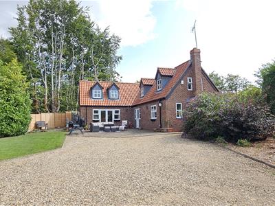 Picture 23
